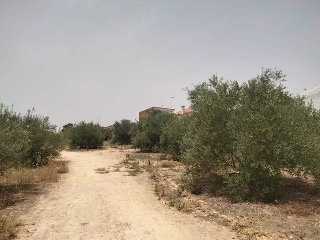 Carretera de Palomares 34