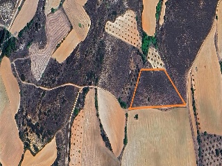 GUINDALERA, POLIGONO 9 PARCELA 5119 8