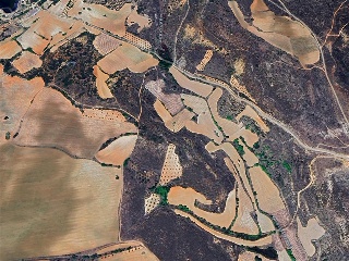PARAJE ESCOPETA, POLIGONO 10 Parcela 5131 8