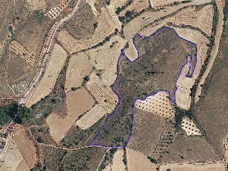 PARAJE ESCOPETA, POLIGONO 10 Parcela 5131 9