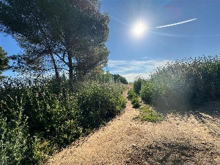 CAMINO DEL PORCILLO, POLIGONO 3 2
