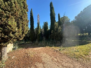 CAMINO DEL PORCILLO, POLIGONO 3 4