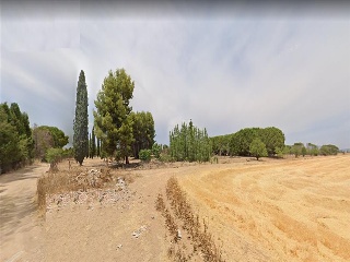 CAMINO DEL PORCILLO, POLIGONO 3 6