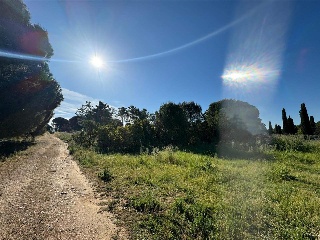 CAMINO DEL PORCILLO, POLIGONO 3 8
