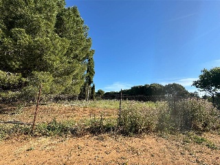 CAMINO DEL PORCILLO, POLIGONO 3 9