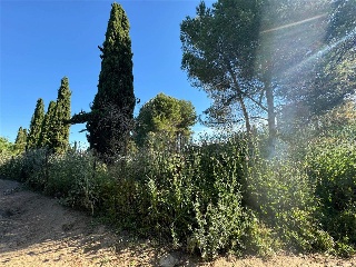 CAMINO DEL PORCILLO, POLIGONO 3 12