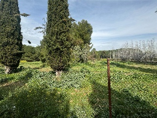 CAMINO DEL PORCILLO, POLIGONO 3 15