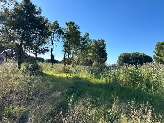 CAMINO DEL PORCILLO, POLIGONO 3 19