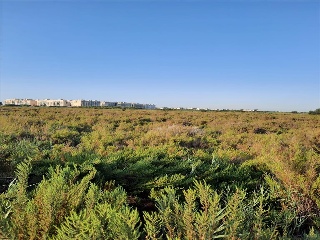 Otros en venta en Moncofa