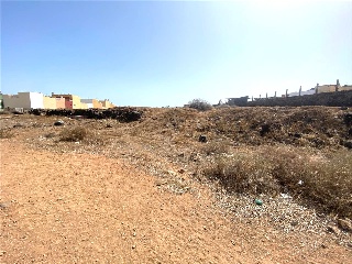 TIRMA. Polígono 8 Parcela 7