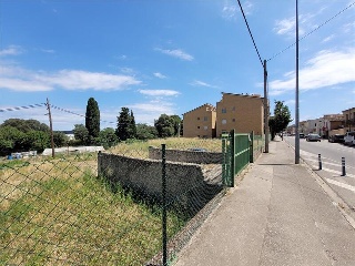PALAMOS 3