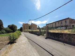 PALAMOS 6