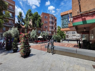 MAYOR 9
