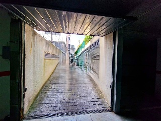 JOSE MARÍA PEREDA 4