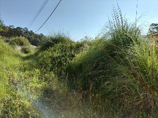 FREIXEIRO-DORRON Suelo Polígono 55 Parcela 5