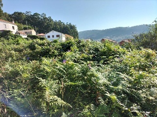 FREIXEIRO-DORRON Suelo Polígono 55 Parcela 6