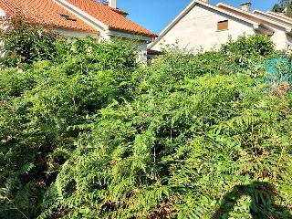 FREIXEIRO-DORRON Suelo Polígono 55 Parcela 7