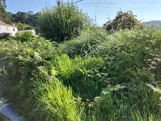 FREIXEIRO-DORRON Suelo Polígono 55 Parcela 9