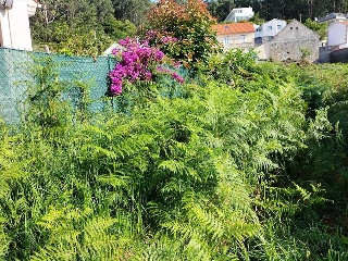 FREIXEIRO-DORRON Suelo Polígono 55 Parcela 10