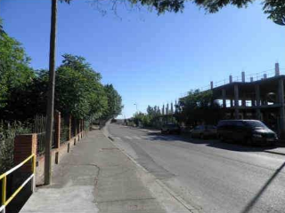 LORENZO BERECIARTUA 5