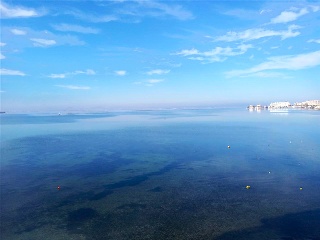 GRAN VIA DE LA MANGA. URBANIZACION VIÑA DEL MAR 14