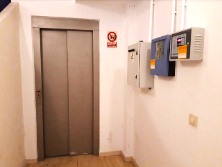 CEDRA 15