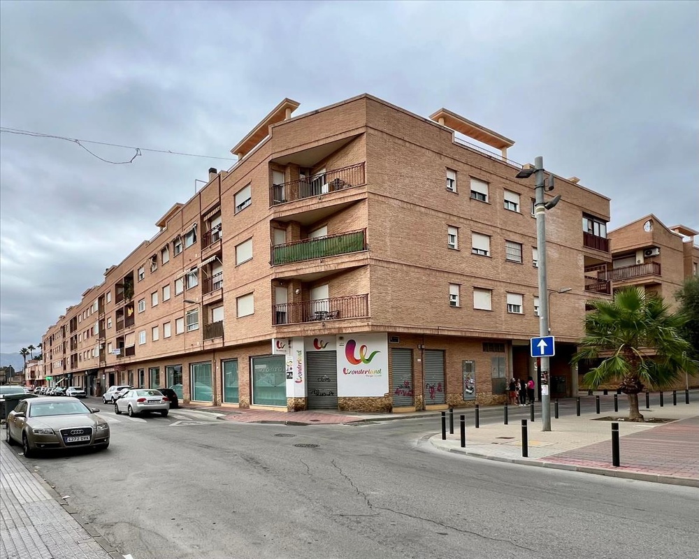 OLIVO (PUENTE TOCINOS)