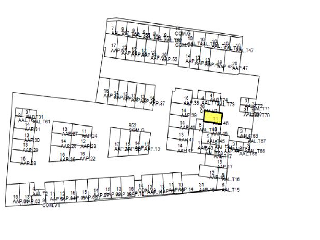 FRANCISCO PINTADO FE 7