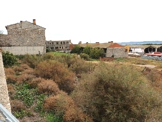 Camino de Zaragoza 10