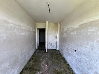 ALTA 12