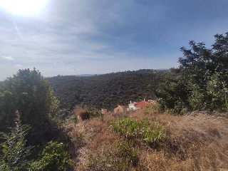 PUIG DE BASSEGODA 9