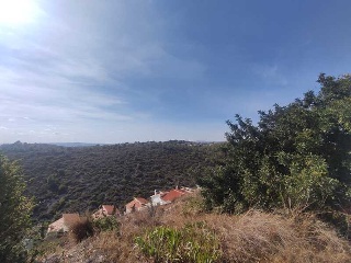 PUIG DE BASSEGODA 10