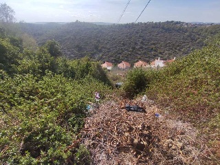 PUIG DE BASSEGODA 11