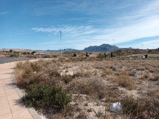 INDUSTRIAL RIODEL 2
