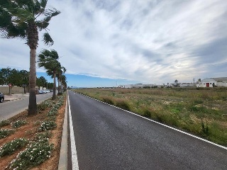 AV GANDIA 7