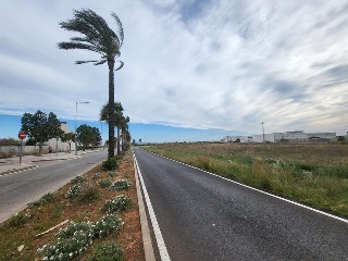 AV GANDIA 11
