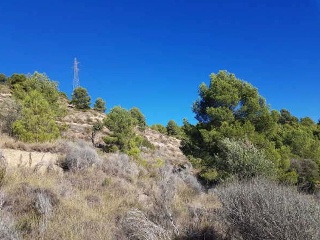 FOYA DEL CAC 2