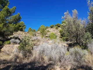 FOYA DEL CAC 13