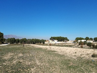 ORITO, POLIGONO 11 4