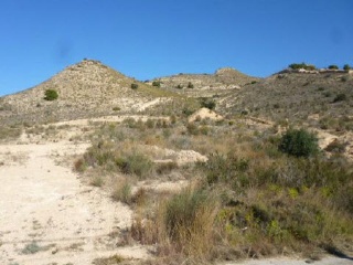 HACIENDA EL SABINAR PARTIDA DE BOQUERES POL 2 PARC 2