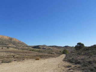 HACIENDA EL SABINAR PARTIDA DE BOQUERES POL 2 PARC 13