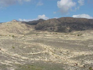 HACIENDA EL SABINAR PARTIDA DE BOQUERES POL 2 PARC 14