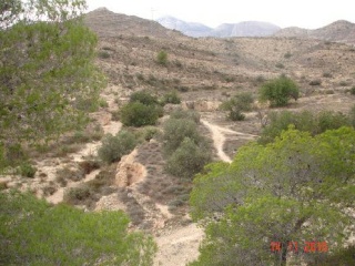 HACIENDA EL SABINAR PARTIDA DE BOQUERES POL 2 PARC 15