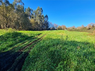 Otros en venta en Santiago De Compostela