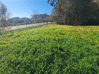 CAMPIÑA. Polígono 507 Parcela 2