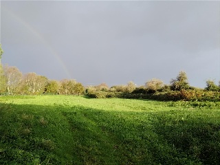 CAMPIÑA. Polígono 507 Parcela 3
