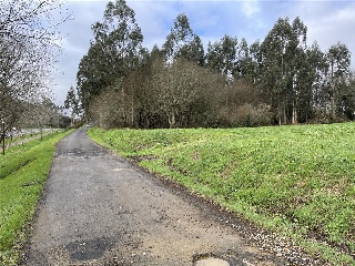 CAMPIÑA. Polígono 507 Parcela 4