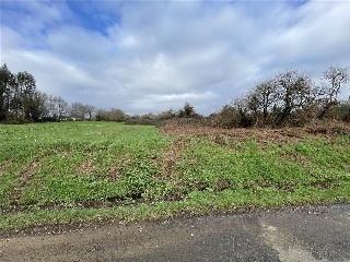 CAMPIÑA. Polígono 507 Parcela 5