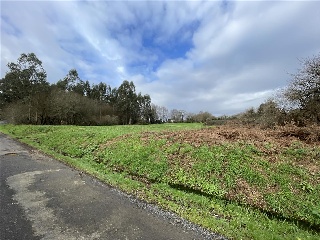 CAMPIÑA. Polígono 507 Parcela 6