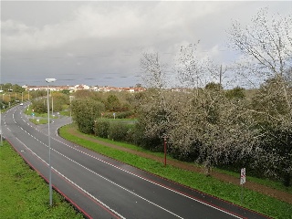 CAMPIÑA. Polígono 507 Parcela 7